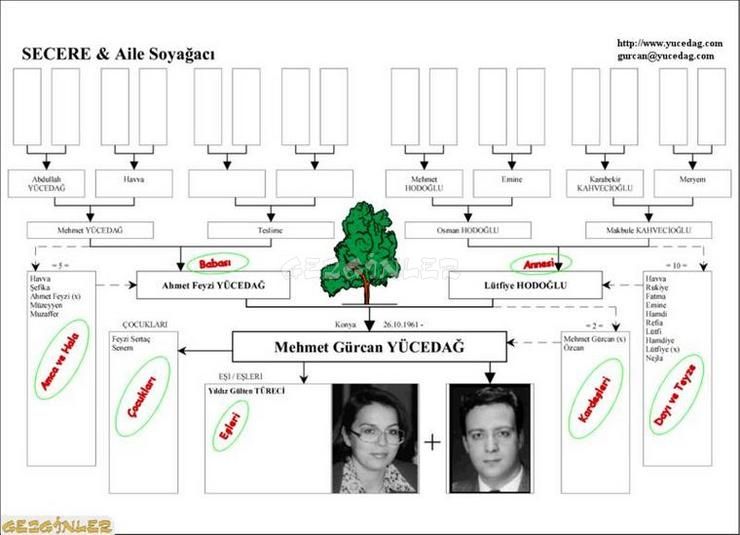 download Der Wärmeübergang bei der Kondensation von