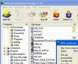 Internet Download Manager screenshot