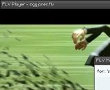 FLV Player screenshot