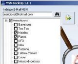 MSN BackUp indir