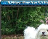 FLVPlayer4Free indir