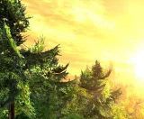 Nature 3D Screensaver screenshot