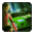 Street Racing Stars