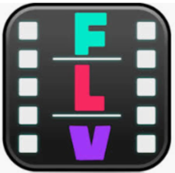 FLV Player