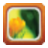 TweakNow PerfectFrame