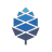 PineFlash