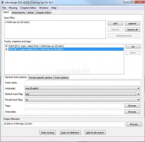 avs video converter mp4 timestamp