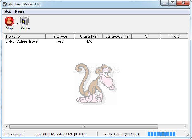 Monkey