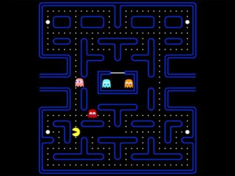 hamster maze hamster maze