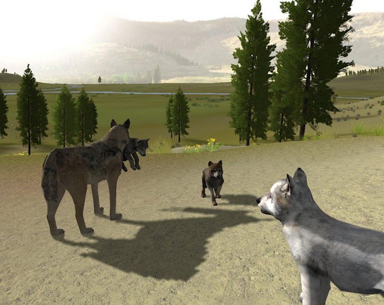 WolfQuest Ekran Görüntüsü - Gezginler
