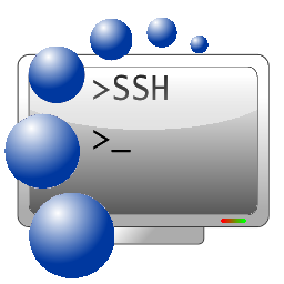 Bitvise SSH Client indir