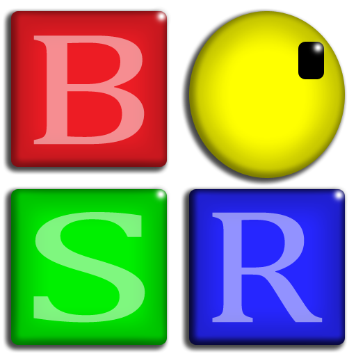BSR Screen Recorder indir