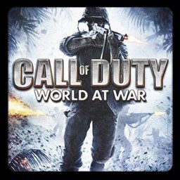 Call of Duty 5: World at War indir