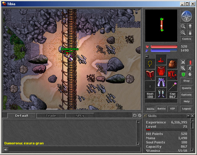 Tibia