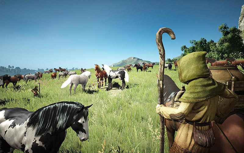 Black Desert