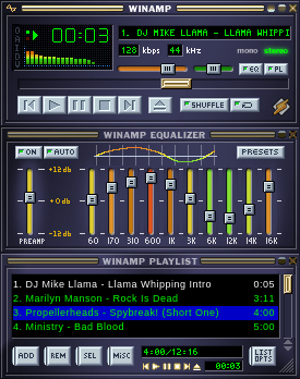 Winamp Ekran Goruntusu
