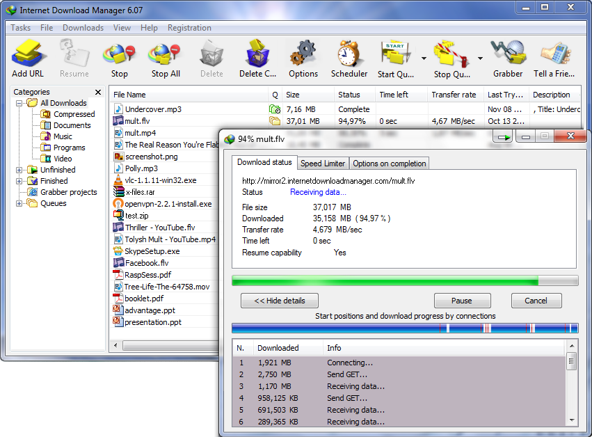 Internet Download Manager Ekran Goruntusu