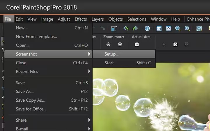 Corel PaintShop Pro Ekran Goruntusu