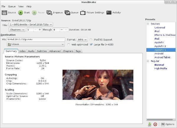 HandBrake Ekran Goruntusu