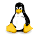 Linux Kernel