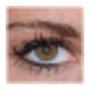 mrViewer