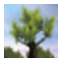 Magic Tree 3D Screensaver