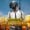 PUBG Mobile on PC with Bluestacks