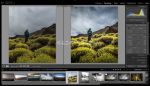 Adobe Lightroom Classic