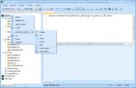 Database .NET