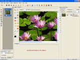 EximiousSoft GIF Creator