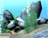 Free 3D Marine Screensaver