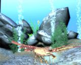 Free 3D Marine Screensaver