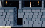 Prince Of Persia 4D