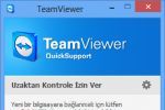 TeamViewer QuickSupport