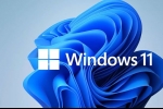 Windows 11