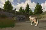 WolfQuest