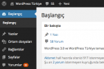 WordPress Trke