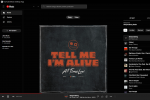 YouTube Music Desktop