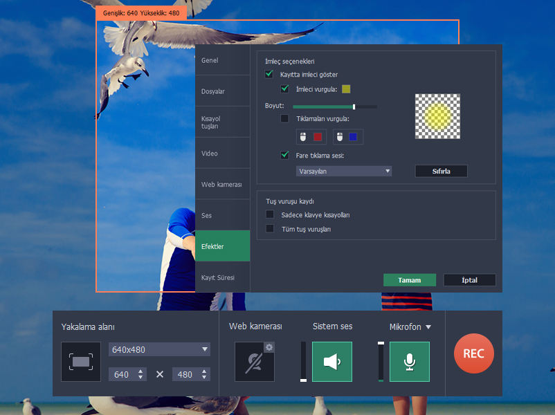 movavi screen recorder picture in picture movavi screen recorder picture in picture
