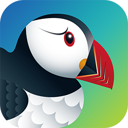 Puffin Browser indir