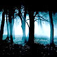 Slender's Woods indir