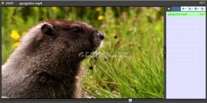 Ace Media Player Ekran Grnts