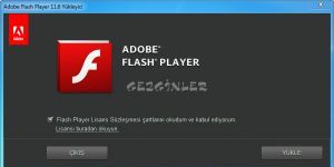 Adobe Flash Player Internet Explorer Ekran Grnts