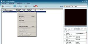 Any Video Converter Free Ekran Grnts