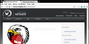 BlackHawk Web Browser Ekran Görüntüsü