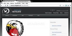 BlackHawk Web Browser Ekran Grnts