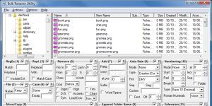 Bulk Rename Utility Ekran Grnts