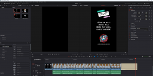 DaVinci Resolve Ekran Grnts
