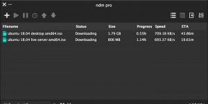 Ninja Download Manager Ekran Görüntüsü