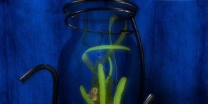 Dream Aquarium 3D Screensaver Ekran Grnts